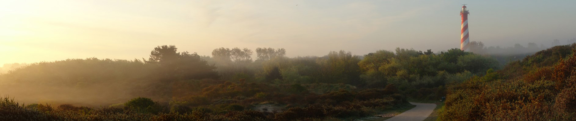 Westrik Verhuur